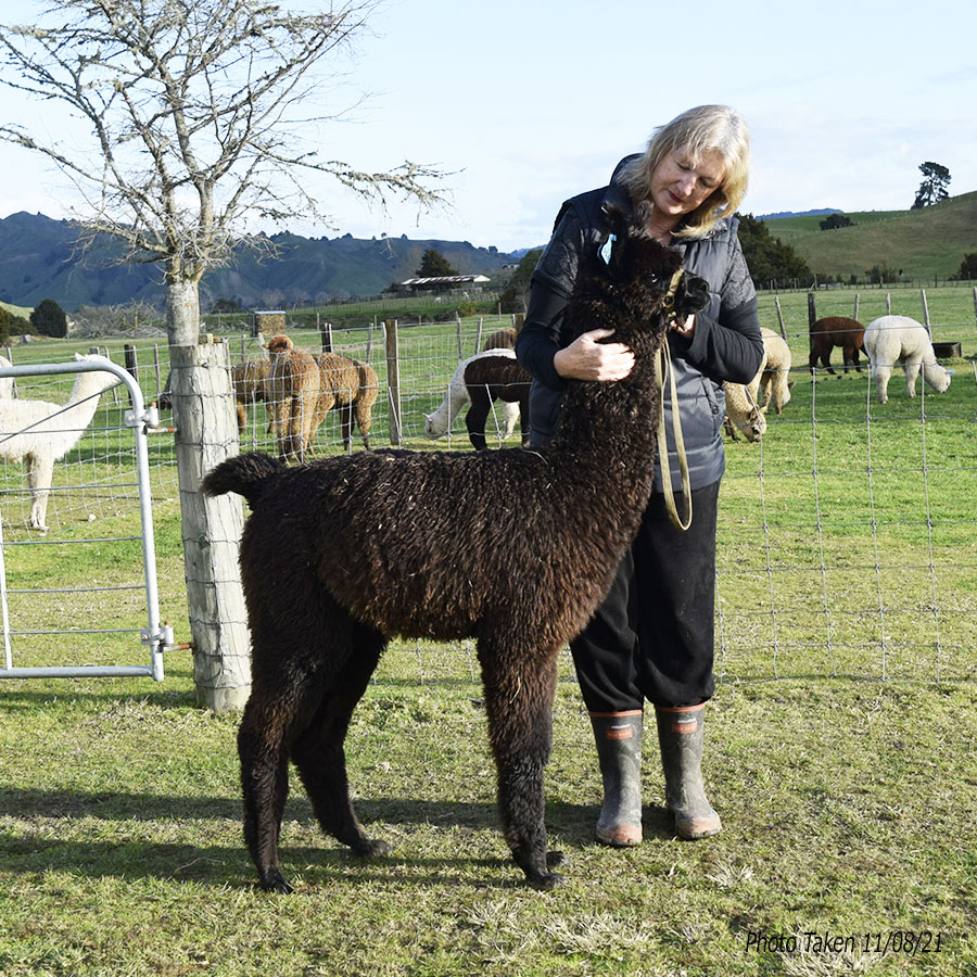 Giggles with cria Keane